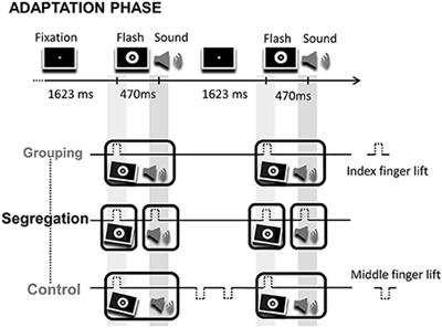 Grouping and Segregation of Sensory Events by Actions in Temporal Audio-Visual Recalibration